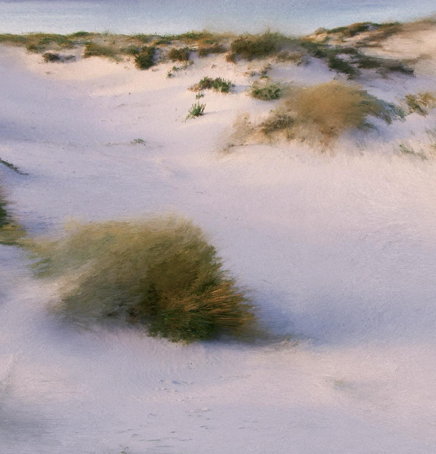 Section of a desert with wild grass