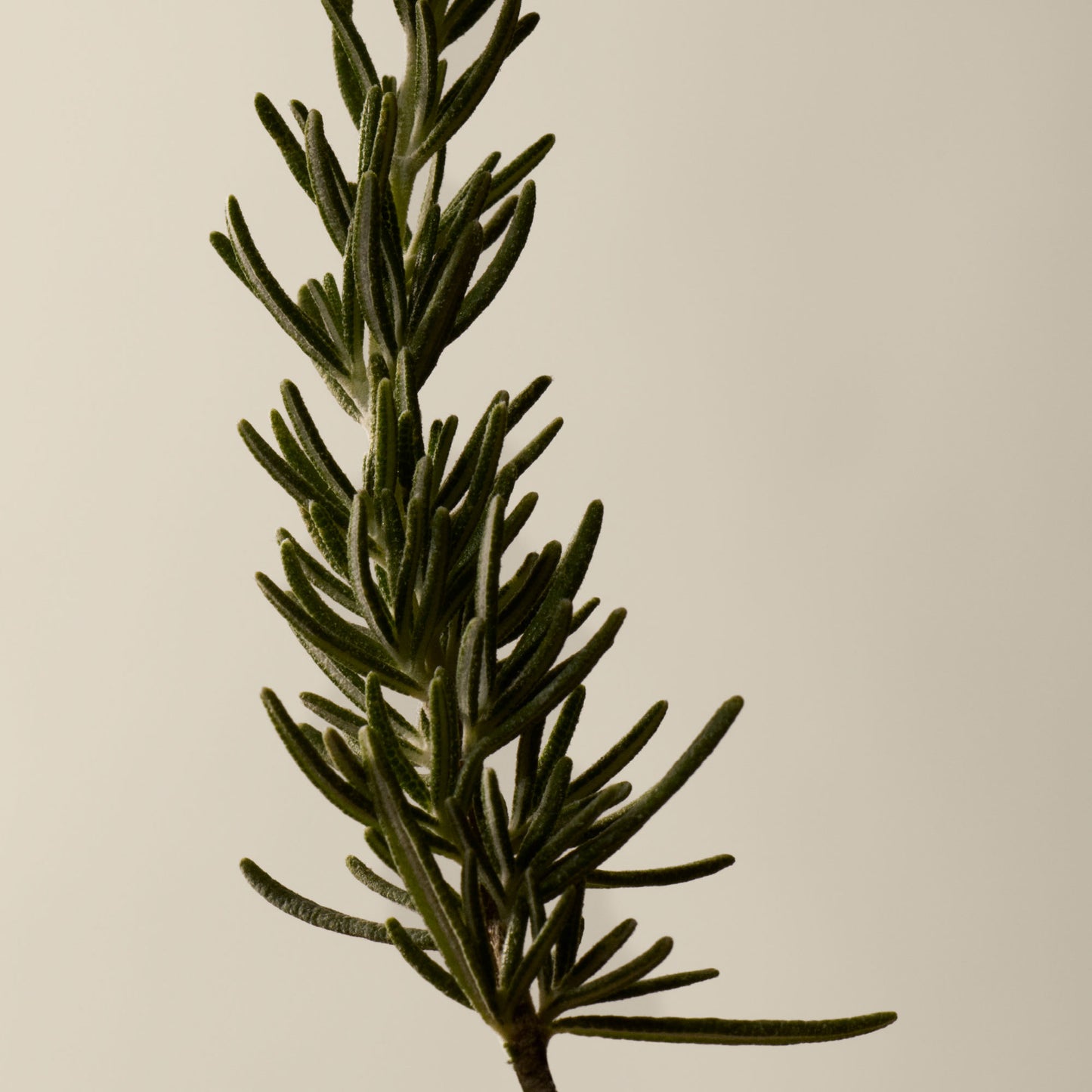 مجموعة ثنائية لتنقية اليدين