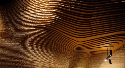 The anatomy and physiology of the skin