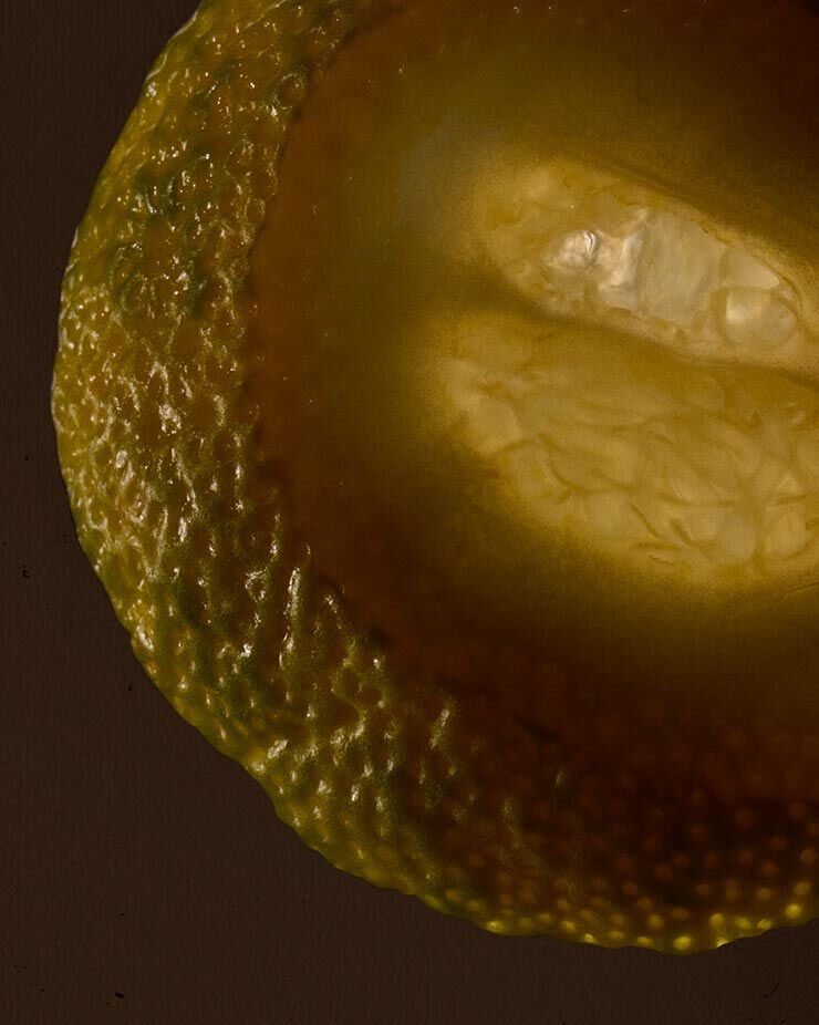 Yuzu