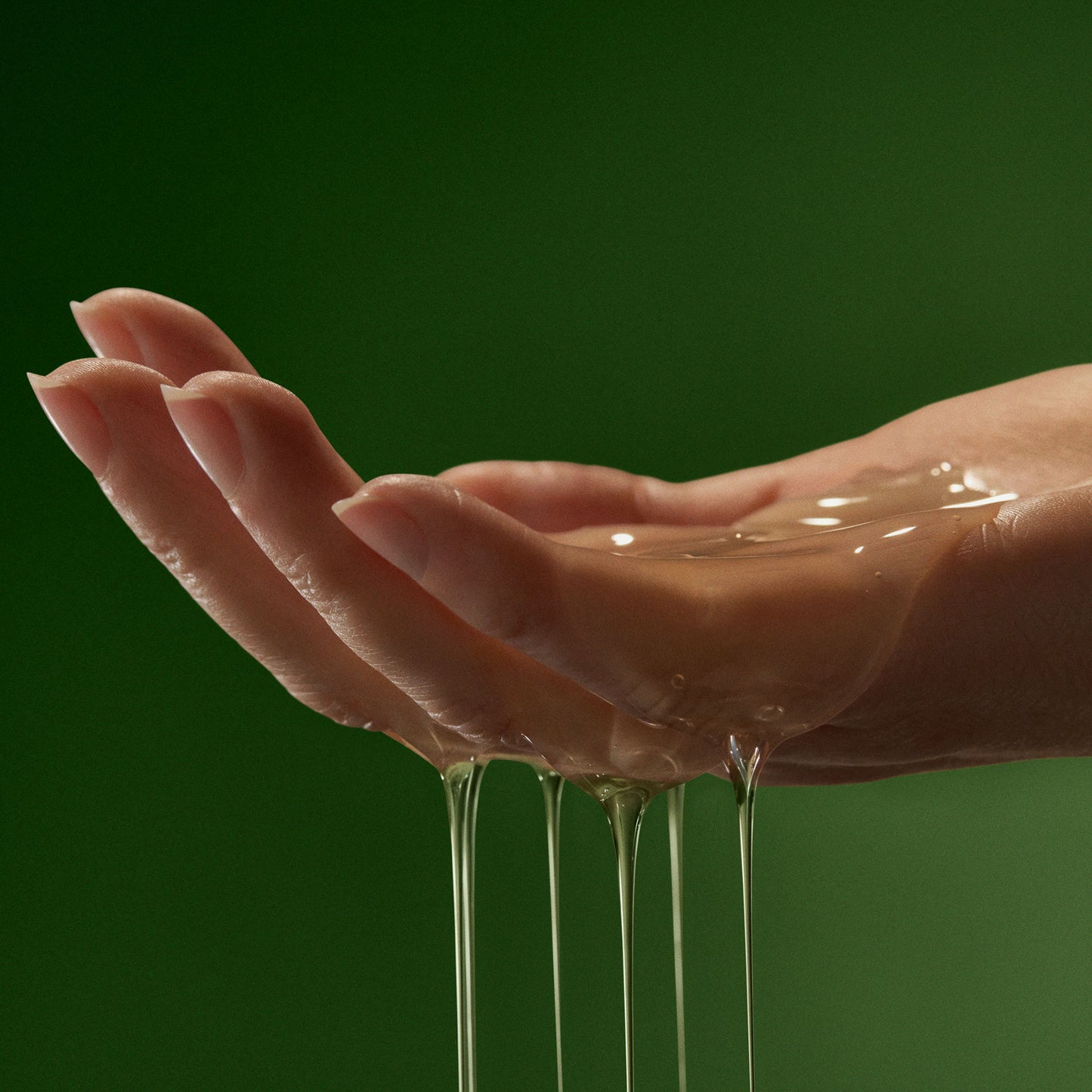 مجموعة ثنائية من ورق الجيرانيوم 