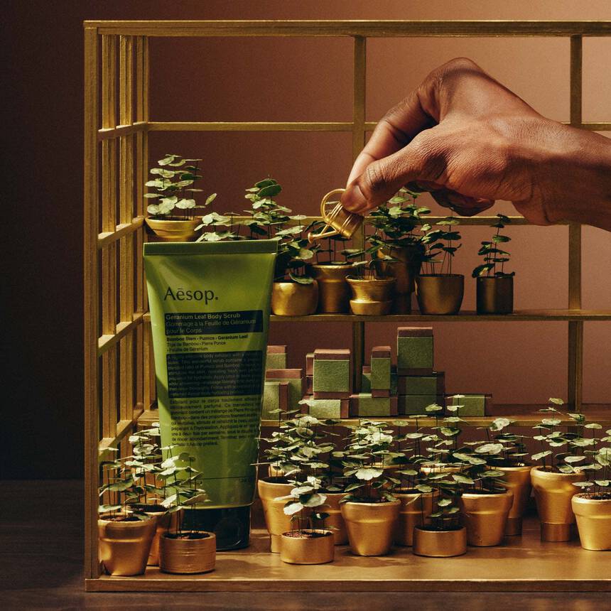 Party in the Greenhouse—A Geranium Leaf Trio – Aesop