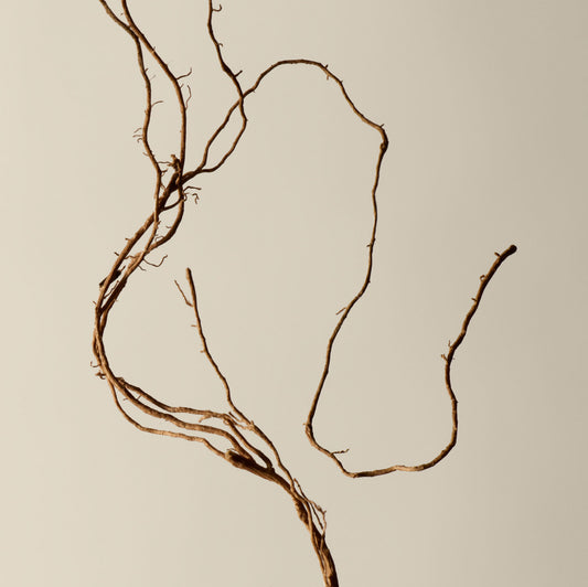 بخور عطري كاجيرو