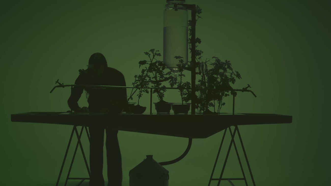 Aesop product video preview