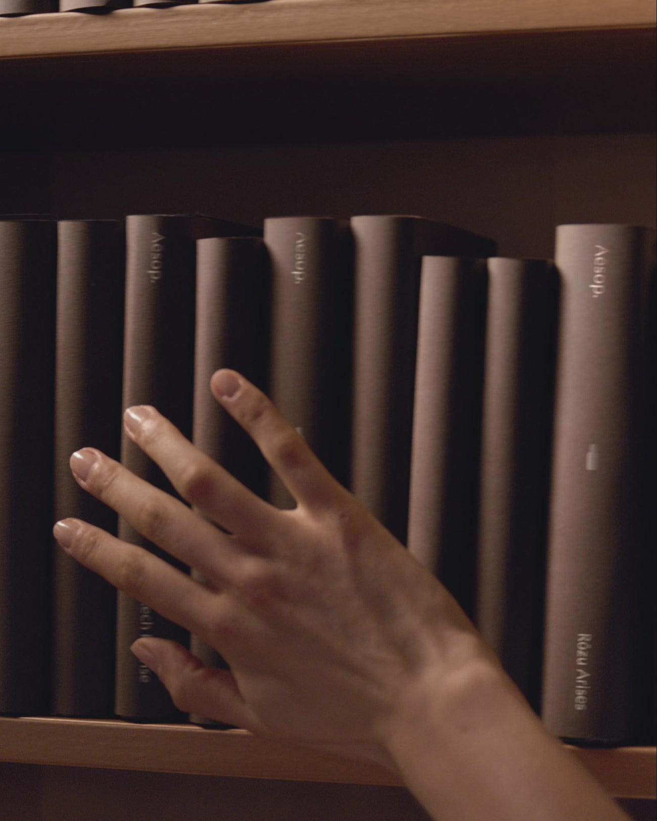 Aesop product video preview