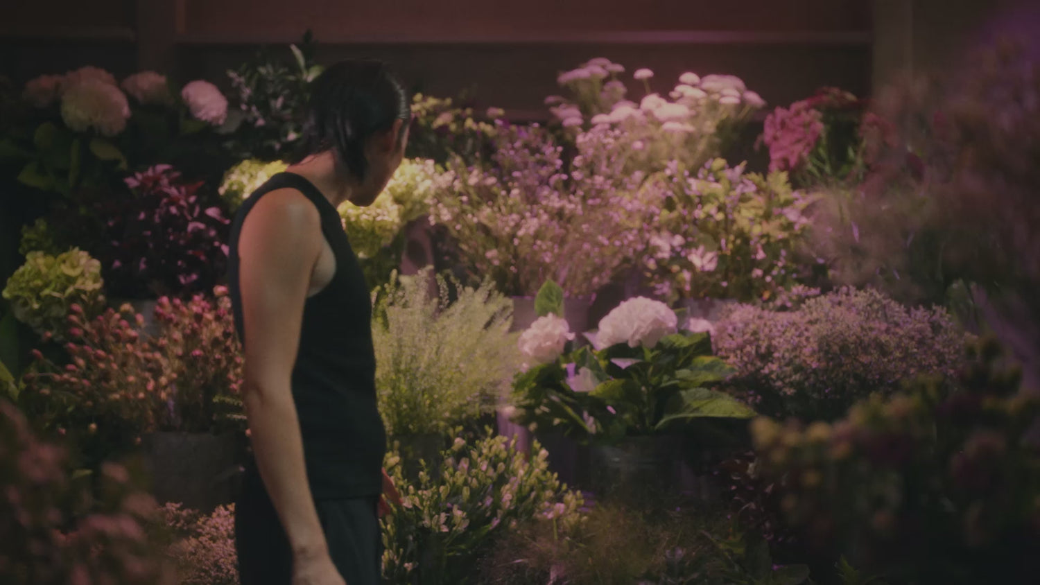 Aesop product video preview