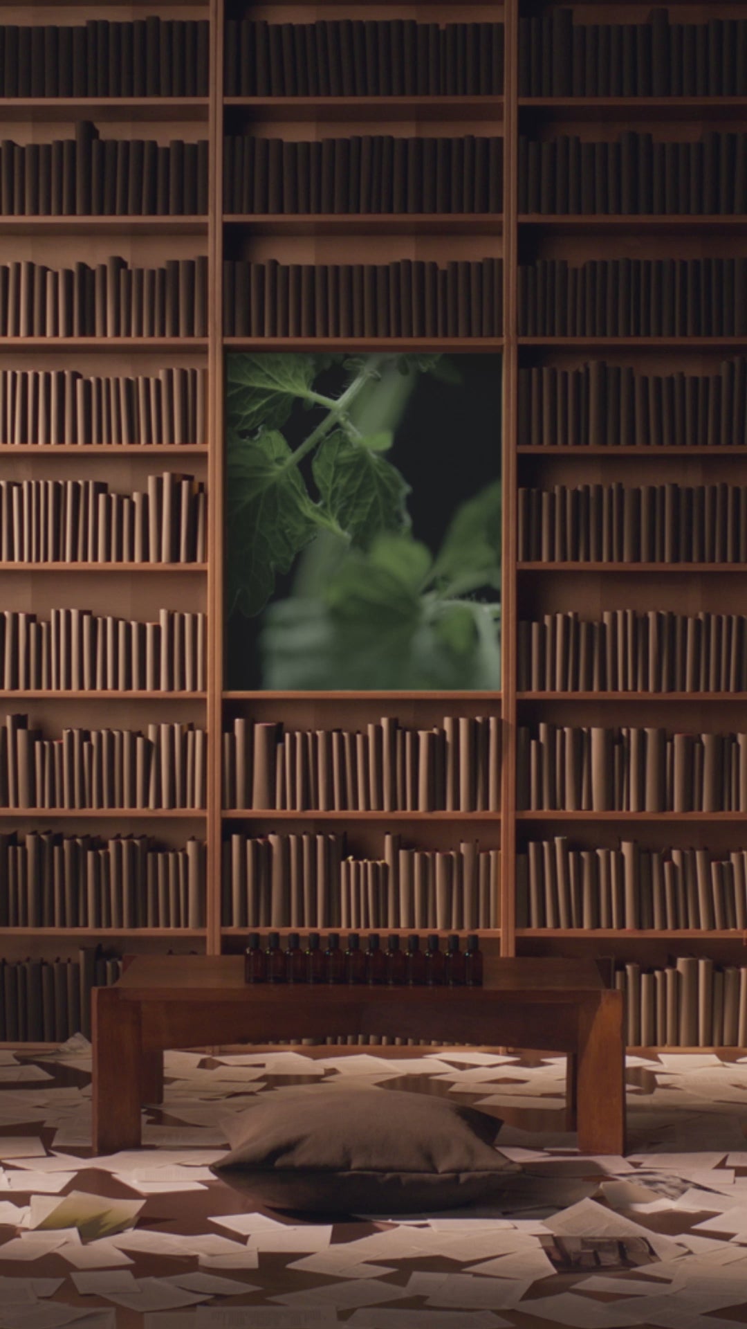 Aesop product video preview