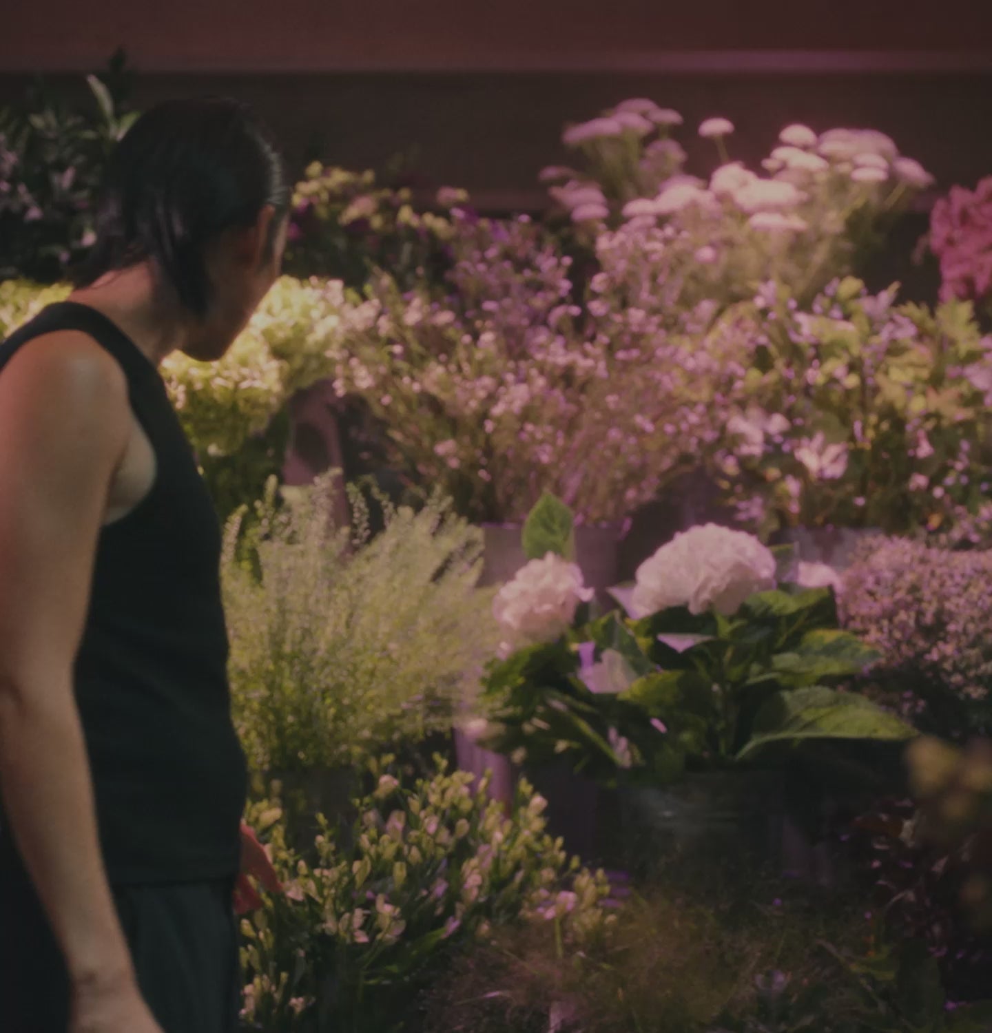 Aesop product video preview