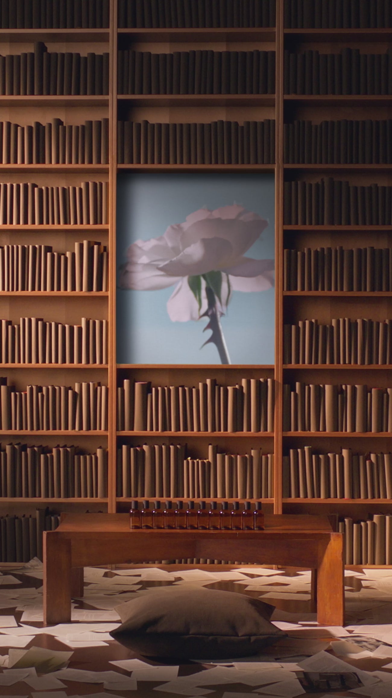 Aesop product video preview