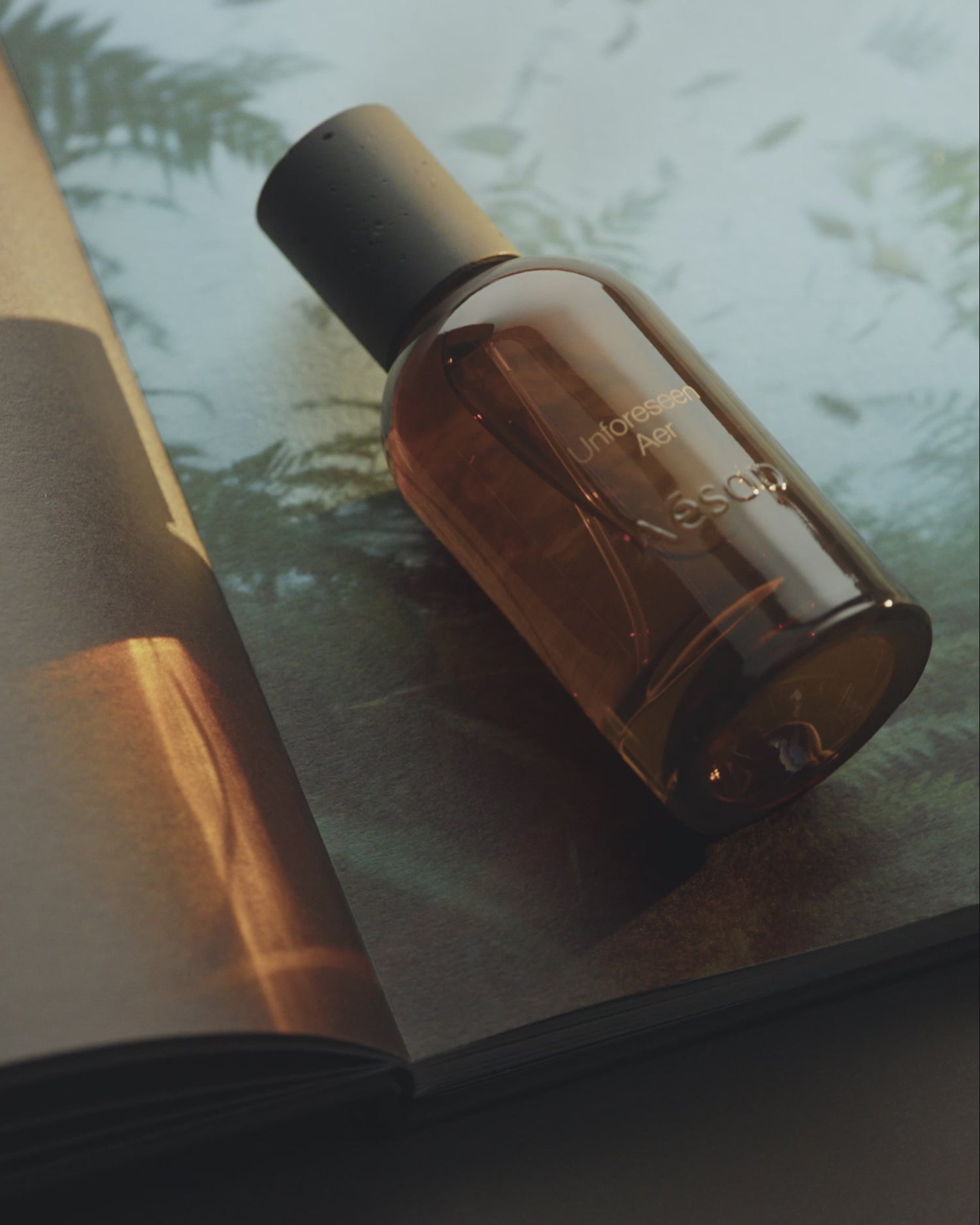 Aesop product video preview