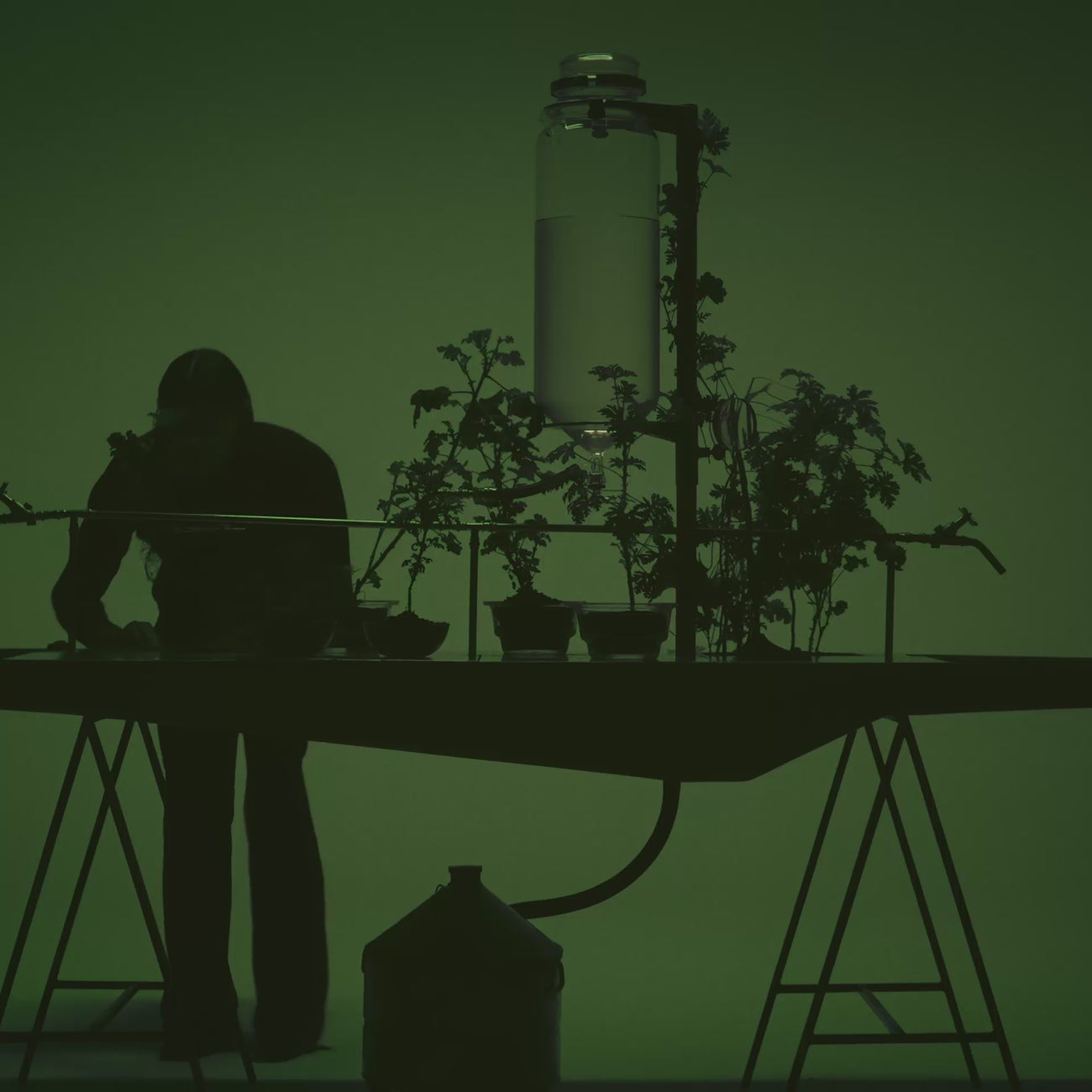 Aesop product video preview