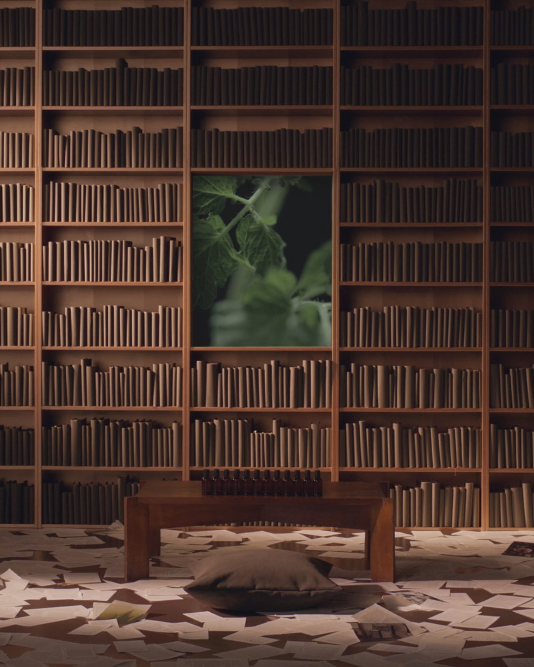 Aesop product video preview