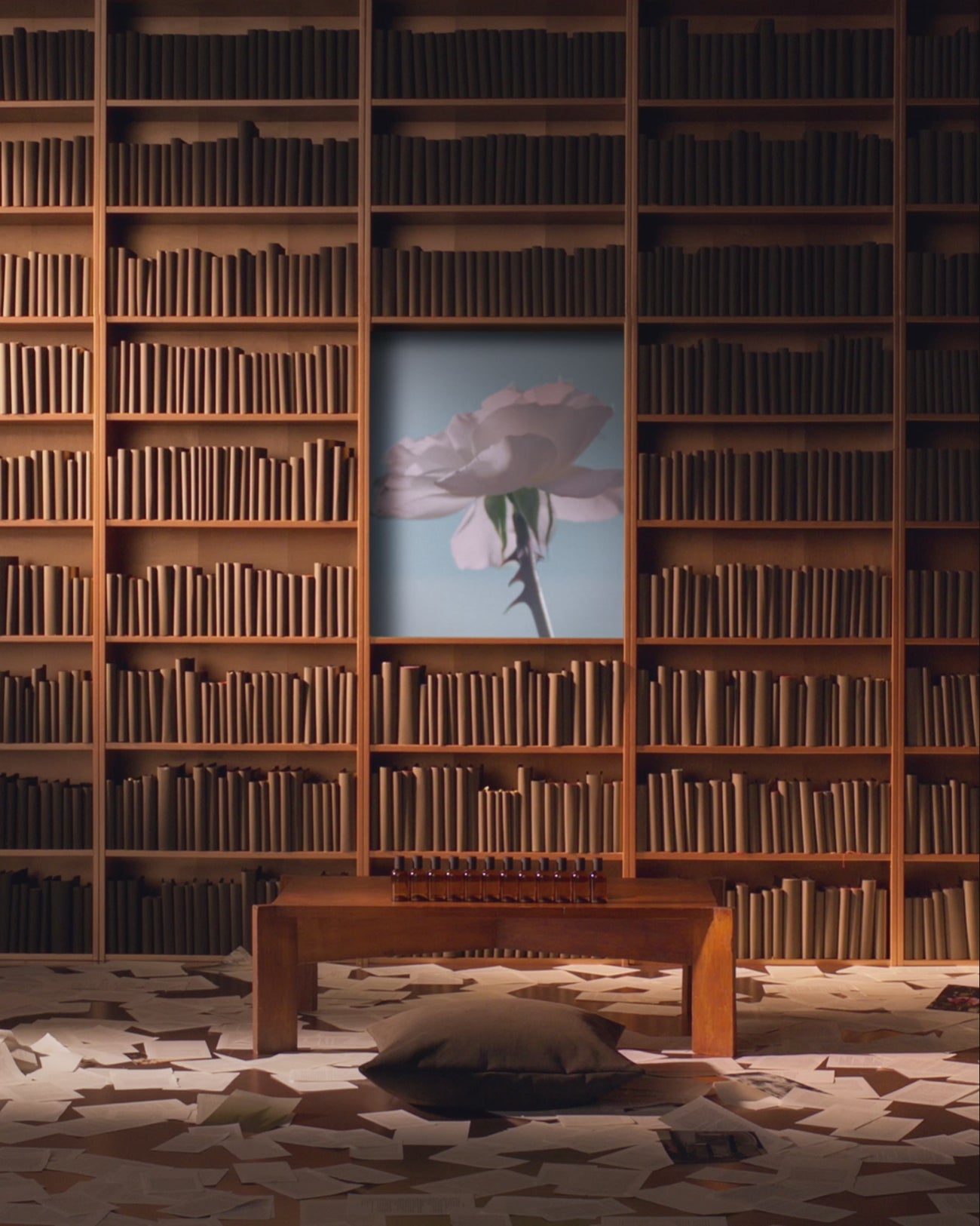 Aesop product video preview