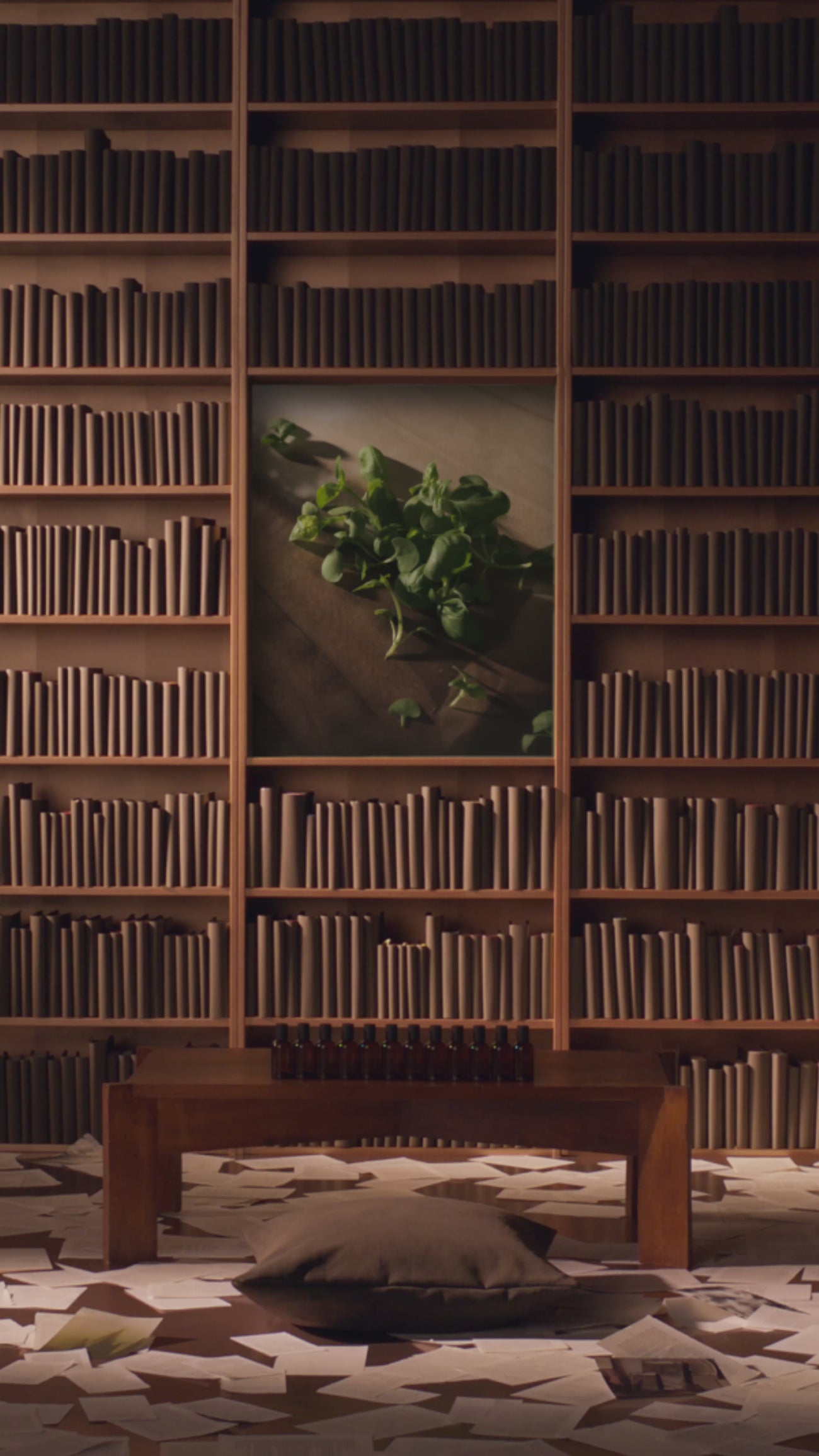 Aesop product video preview