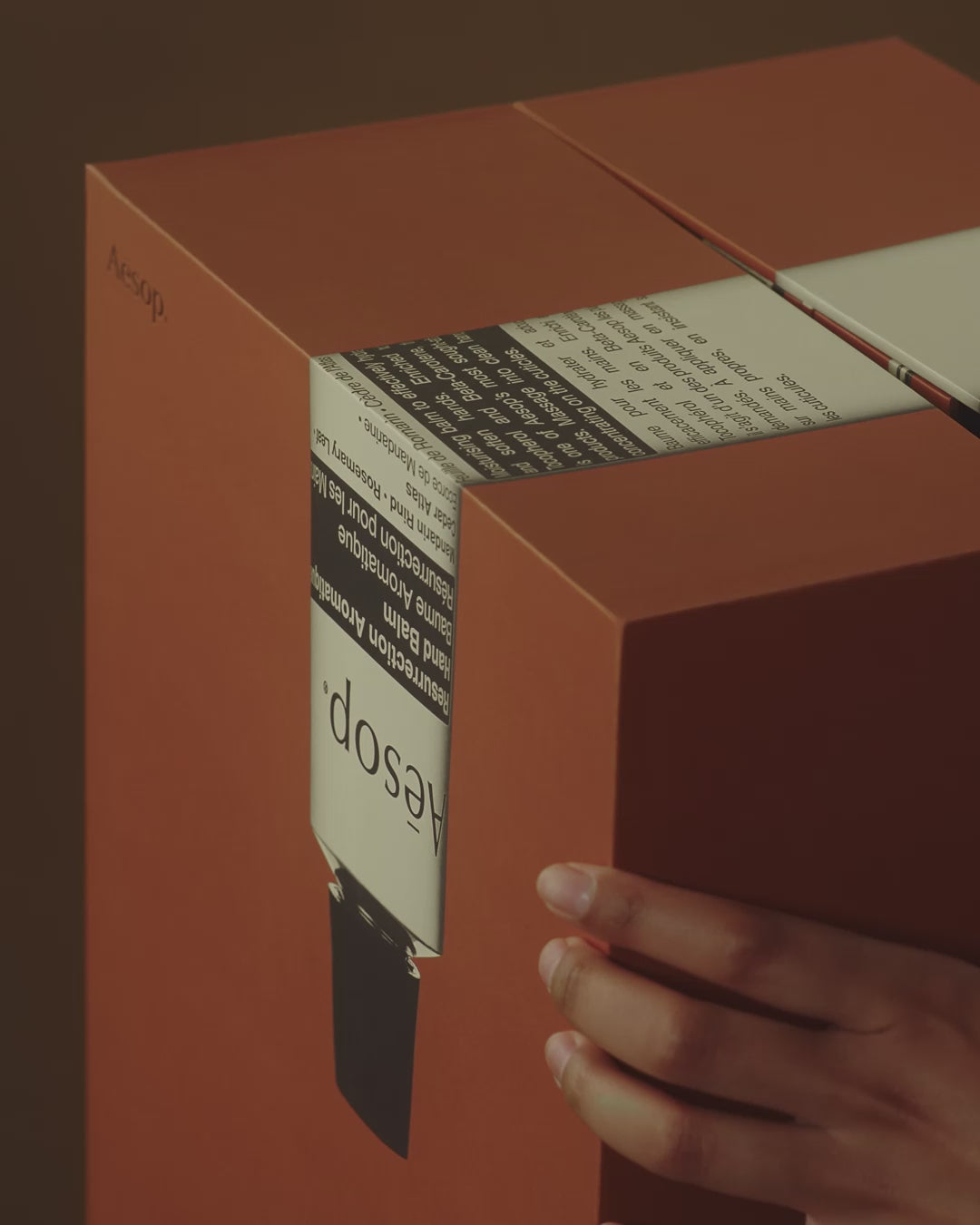 Aesop product video preview