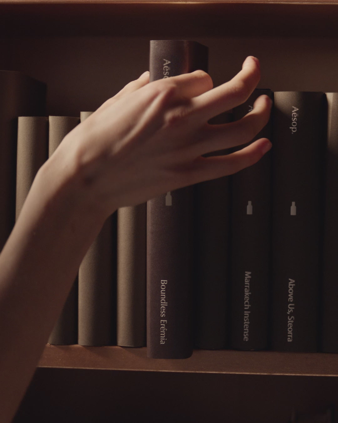 Aesop product video preview