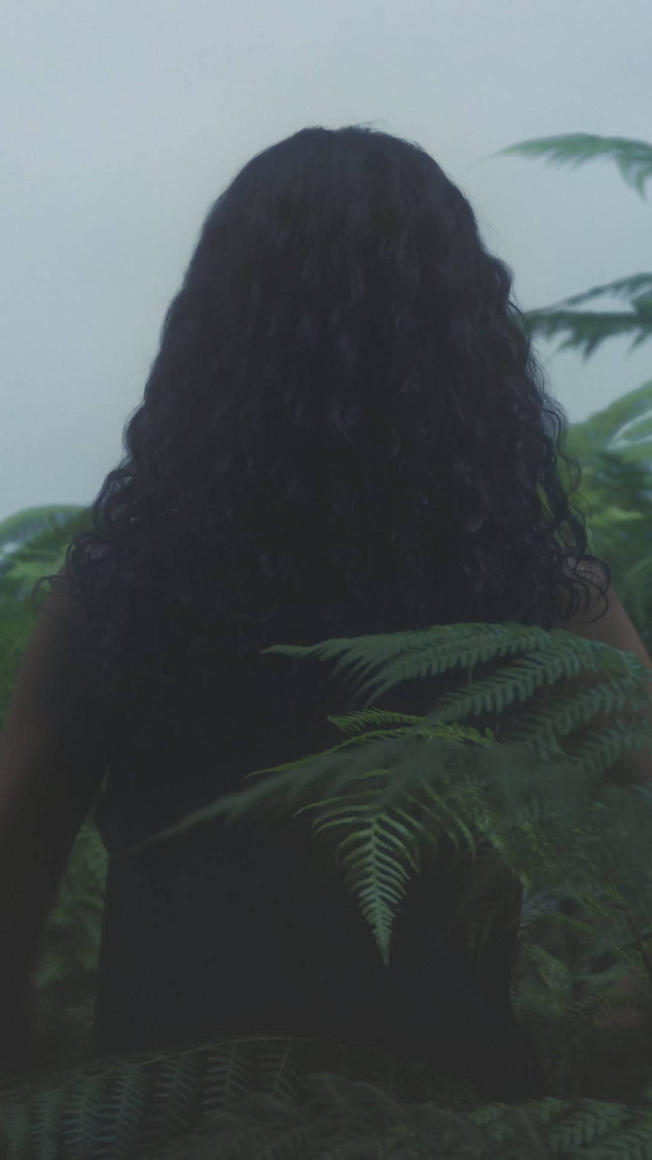 Aesop product video preview